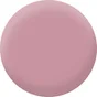 Peinture flandres mur, plafond et boiserie , PURE  PAINT velours 0.5 l