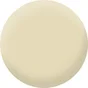 Testeur peinture dune velours , PURE  PAINT 100 ml