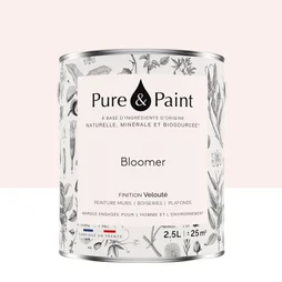 Peinture bloomer mur, plafond et boiserie , PURE  PAINT velours 2.5 l