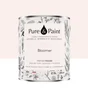 Peinture bloomer mur, plafond et boiserie , PURE  PAINT velours 2.5 l