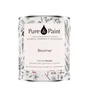Peinture bloomer mur, plafond et boiserie , PURE  PAINT velours 2.5 l