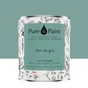 Peinture vert de gris mur, plafond et boiserie , PURE  PAINT velours 2.5 l