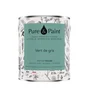 Peinture vert de gris mur, plafond et boiserie , PURE  PAINT velours 2.5 l