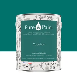 Peinture yucatan mur, plafond et boiserie , PURE  PAINT velours 2.5 l