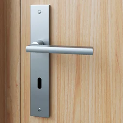 Ensemble de porte, trou de clé INSPIRE, aluminium nickel satiné, entraxe 195 mm