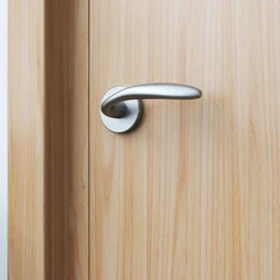 Ensemble de porte sur rosace Agathe INSPIRE, nickel satiné sans trou