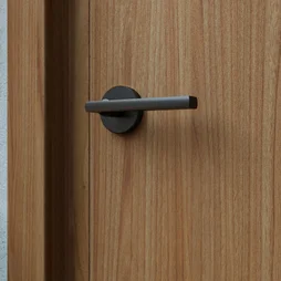 Ensemble de porte sur rosace Lee INSPIRE, peint noir mat sans trou