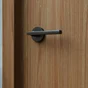 Ensemble de porte sur rosace Lee INSPIRE, peint noir mat sans trou