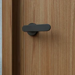 Ensemble de porte sur rosace Java INSPIRE, peint noir mat sans trou