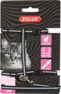 Kit sellerie chat noir