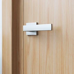 Ensemble de porte sur rosace Abby INSPIRE, nickel satiné sans trou