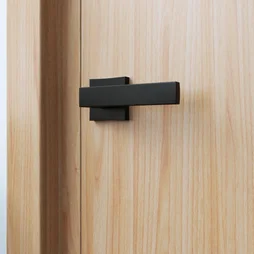 Ensemble de porte sur rosace Abby INSPIRE, noir mat sans trou
