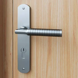 2 poignees de porte Eden trou de cylindre INSPIRE, zamak entraxe 195 mm