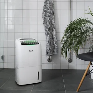 Déshumidificateur salon WOODS AD30G