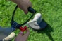 Coupe-herbe électrique STERWINS Egt2-25.4, 350 W, l.25 cm
