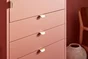 Lot de 2 poignées INSPIRE pour meubles Evo'm Oslo laiton brossé 45mm