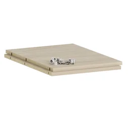 Lot de 2 Etagère pour caisson SPACEO Evo'm chêne effet chêne L.36.8 x P.52 cm