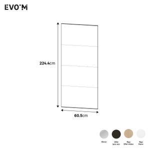 Porte coulissante SPACEO Evo'm Riga H.230,4 X L.60 cm noir