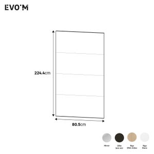 porte coulissante evo'm riga h.230,4 x l.80 noir spaceo