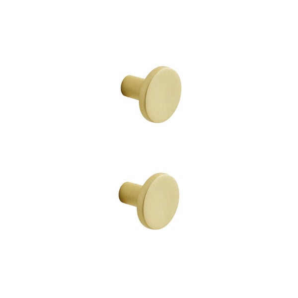 Lot de 2 boutons de meuble INSPIRE pour meubles Evo'm Ben laiton brossé