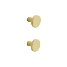 Lot de 2 boutons de meuble INSPIRE pour meubles Evo'm Ben laiton brossé
