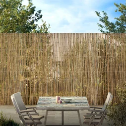 Canisse roseau déco, naturelle, 0.6 kg/m2, H.1 x L.3 m, NATERIAL