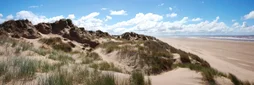 Toile imprimée Dune de Sable, CEANOTHE 30 x 97 cm
