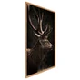Décoration murale Cerf Impérieux, CEANOTHE, l.65.2 x H.94.7 cm