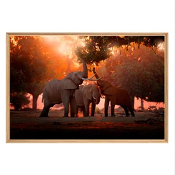 Image encadrée Famille Eléphants, CEANOTHE 65 x 97 cm