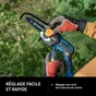 Elagueuse STERWINS 20 V, guide de 15.5 cm