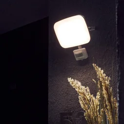 Projecteur extérieur led kanti détection 30 w blanc