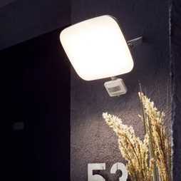 Projecteur extérieur led kanti détection 50 w 6750 lm blanc INSPIRE