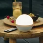 Lampe ampoule extérieur CASPE led intégrée 2700K IP54 INSPIRE