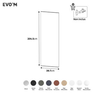 Porte battante SPACEO Evo'm Vienne Gris Vert H.204,8 X L.40 cm