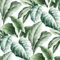 Papier peint vinyle FLORIDA vert