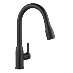 Mitigeur cuisine douchette FANNY noir DELINIA