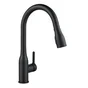 Mitigeur cuisine douchette FANNY noir DELINIA