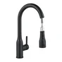 Mitigeur cuisine douchette FANNY noir DELINIA