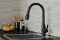 Mitigeur cuisine douchette FANNY noir DELINIA