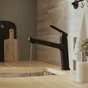 Mitigeur cuisine douchette ICONE noir