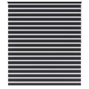 Store enrouleur jour/nuit Bolero gris foncé, l.180 x H.250 cm, INSPIRE