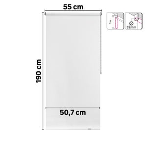 Store enrouleur screen Salsa blanc, l.55 x H.190 cm, INSPIRE