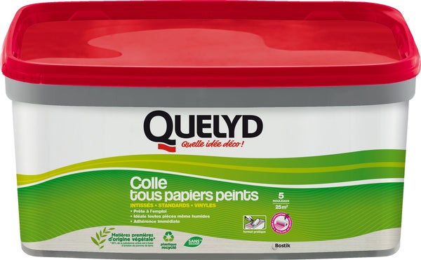 Colle Pate tous papiers peints QUELYD, 3 kg