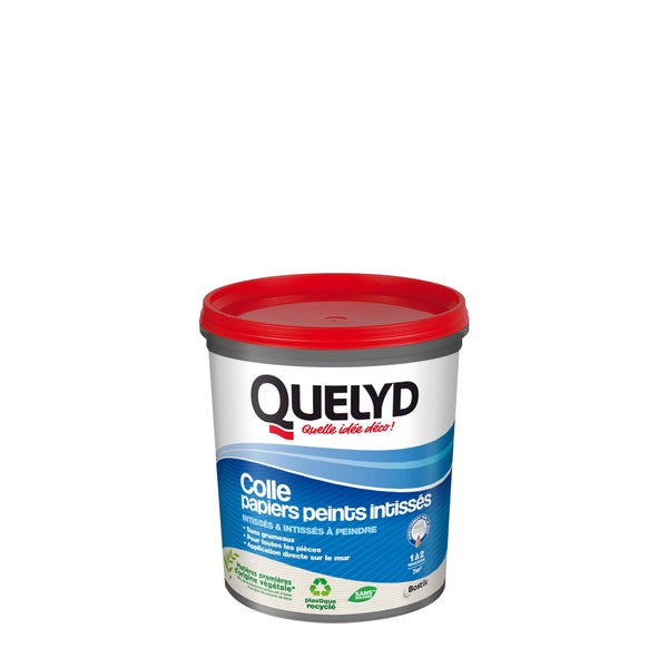 Colle Pate papier peint intisse QUELYD, 1 kg