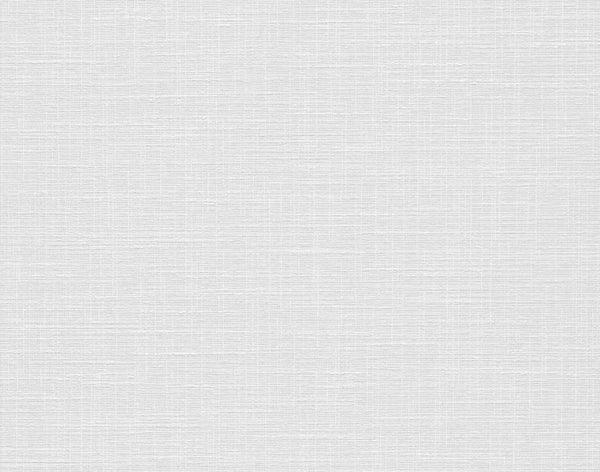 Papier peint à peindre 130 g/m² Decowell textile, l.0.53 x L.10.05 m