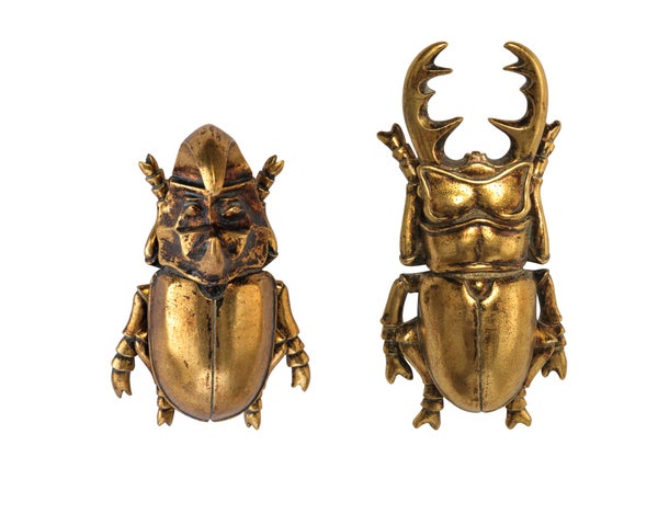 Lot 2 plaques décoratives scarabées, doré l.13.3 x H.21.5 cm