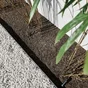 Paillage cosses de sarrasin bio, TONUSOL, 50 litres