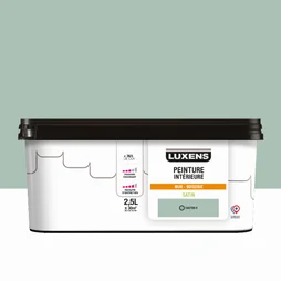 Peinture mur, boiserie cactus 6 satin LUXENS Murale 2.5l