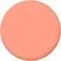 Testeur peinture flush 5 velours LUXENS 50 ml