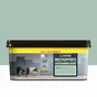 Peinture cactus 6 mur, boiserie, radiateur LUXENS satiné 2.5L+20% gratuit